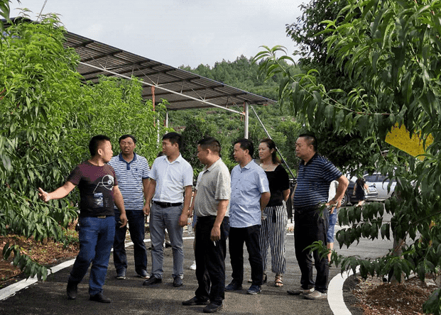 市城投集团携竹园村赴江口、玉屏考察学习农村基层党建和产业发展