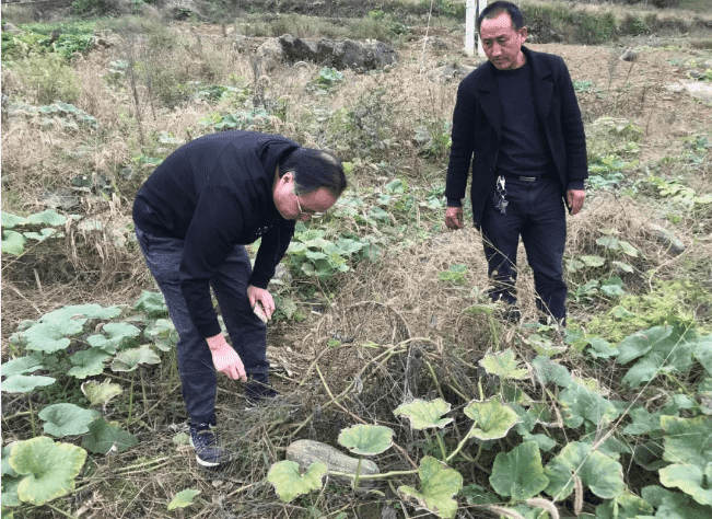 市城投集团公司领导在宽坪乡保卫村开展扶贫帮扶工作