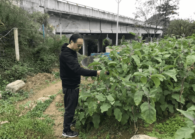 市城投集团公司领导在宽坪乡保卫村开展扶贫帮扶工作