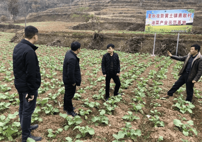 市城投集团公司领导到帮扶联系村开展扶贫调研工作