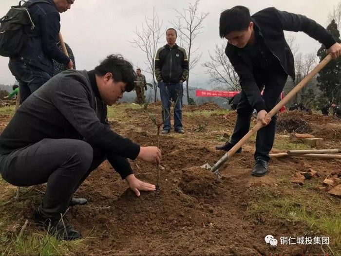 铜仁市城投集团参加2018年 “互联网+全民义务植树”暨“春晖林”建设活动