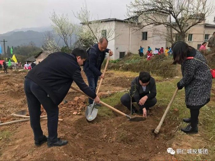 铜仁市城投集团参加2018年 “互联网+全民义务植树”暨“春晖林”建设活动