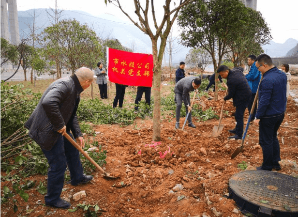 市水投公司机关支部开展植树活动