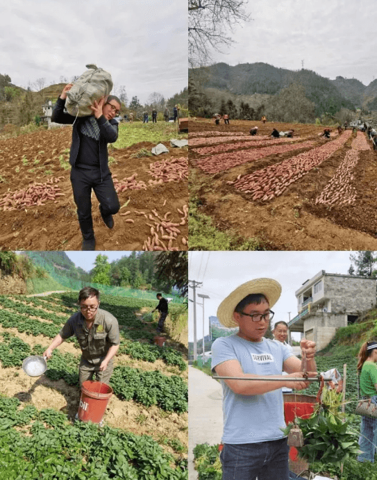 倾情为民  甘于奉献——罗佳拉