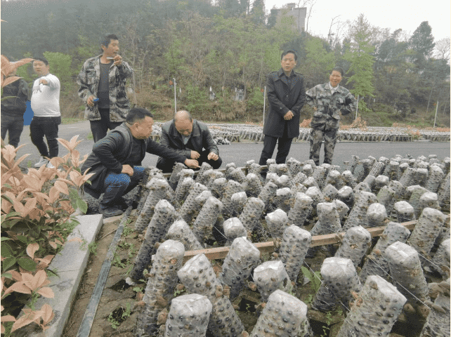 铜仁城投集团赴沿河县淇滩镇皂渡村开展调研宣讲