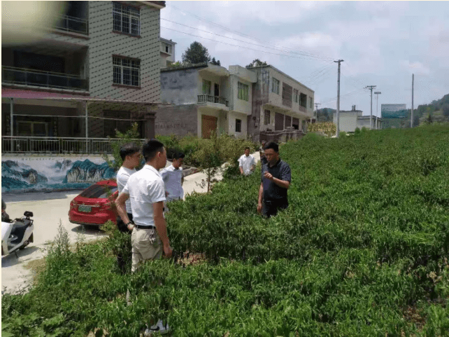 铜仁城投集团领导到沿河县淇滩镇竹园村开展宣讲工作