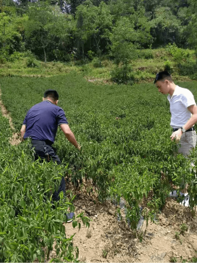 铜仁城投集团领导到沿河县淇滩镇竹园村开展宣讲工作