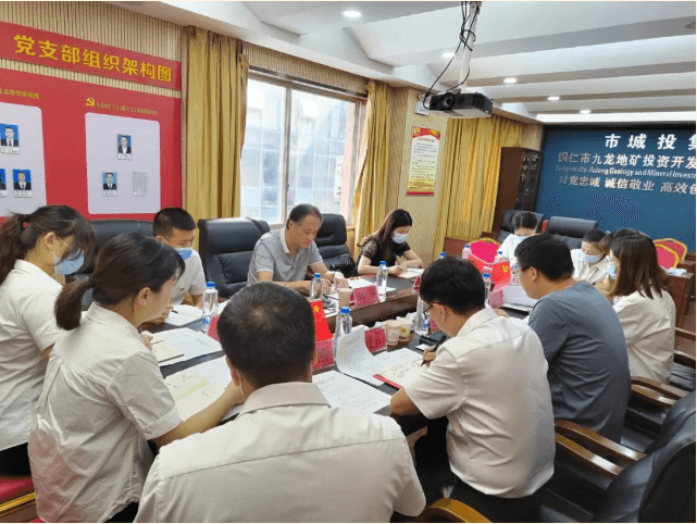 铜仁城投集团九龙地矿公司党支部召开党史学习教育专题组织生活会