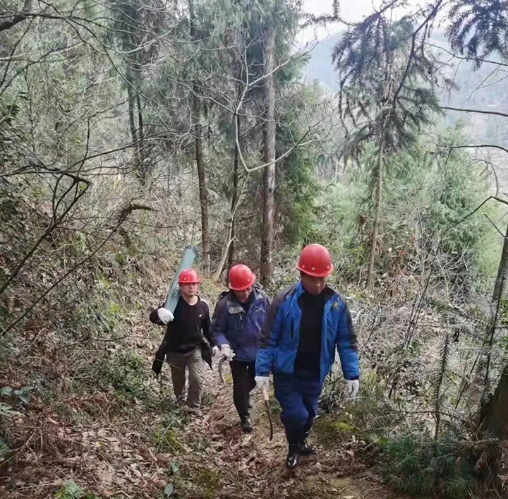 全力以赴保供水 | 鹭鸶岩水厂紧急抢修供电专线